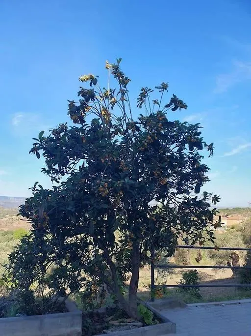 Casa Blanca, Acequias, Lecrin Valley, Granada