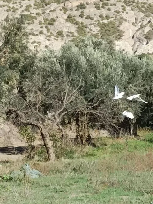 Casa Blanca, Acequias, Lecrin Valley, Granada