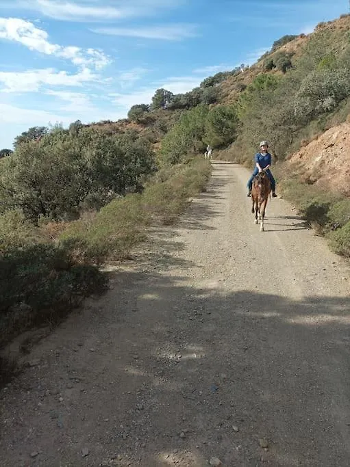 Casa Blanca, Acequias, Lecrin Valley, Granada Holiday home
